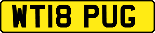 WT18PUG