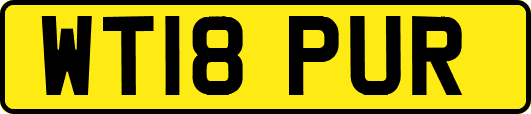 WT18PUR