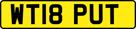 WT18PUT