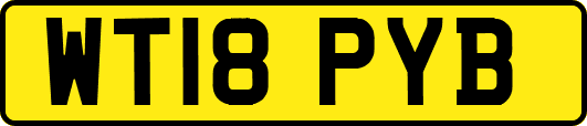 WT18PYB