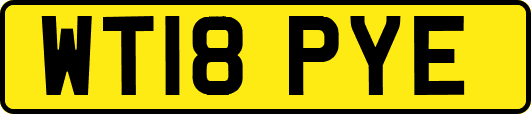 WT18PYE