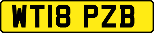 WT18PZB