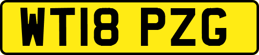 WT18PZG