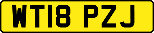 WT18PZJ