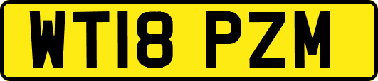 WT18PZM