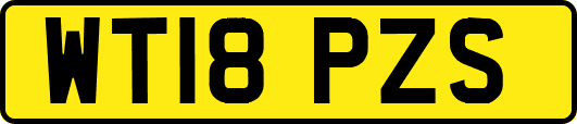 WT18PZS