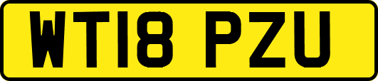 WT18PZU
