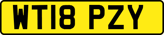 WT18PZY