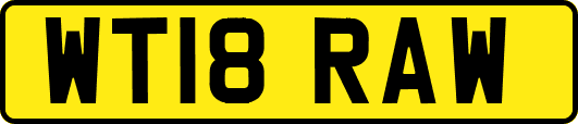 WT18RAW