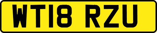 WT18RZU