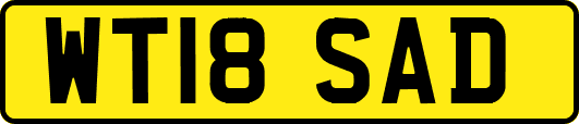 WT18SAD