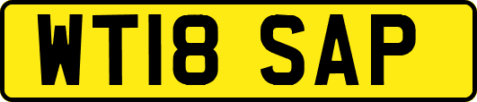 WT18SAP