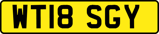 WT18SGY