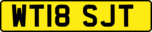 WT18SJT