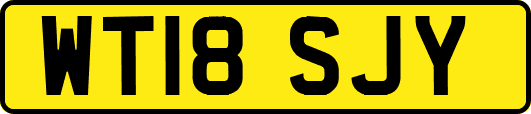 WT18SJY