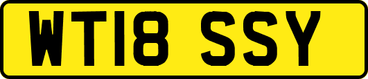 WT18SSY