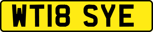 WT18SYE