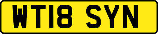 WT18SYN