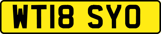 WT18SYO