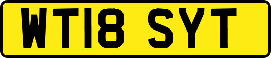 WT18SYT