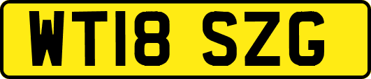 WT18SZG