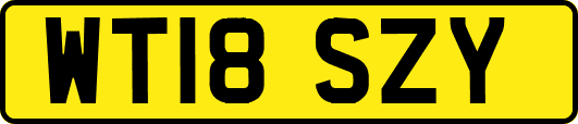 WT18SZY