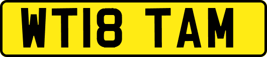 WT18TAM