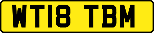WT18TBM