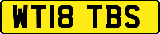 WT18TBS