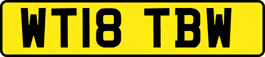 WT18TBW