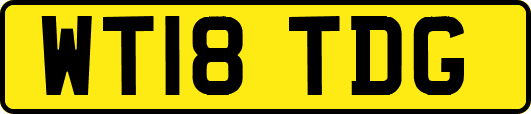 WT18TDG