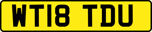 WT18TDU