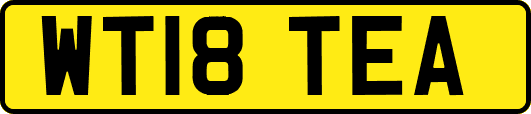WT18TEA