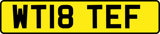 WT18TEF