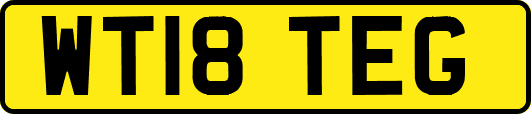 WT18TEG