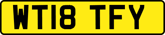 WT18TFY