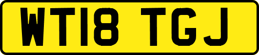 WT18TGJ