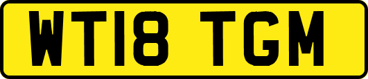 WT18TGM