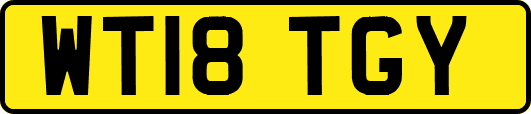 WT18TGY