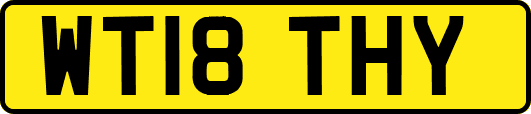 WT18THY
