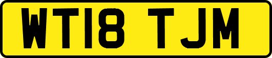 WT18TJM
