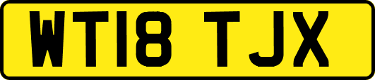 WT18TJX
