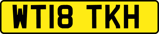 WT18TKH