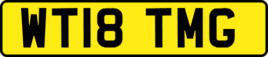 WT18TMG