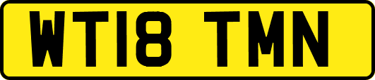 WT18TMN