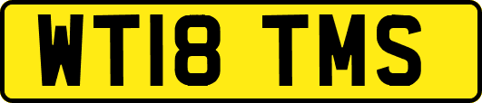 WT18TMS