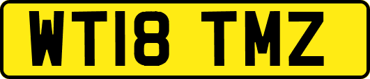 WT18TMZ