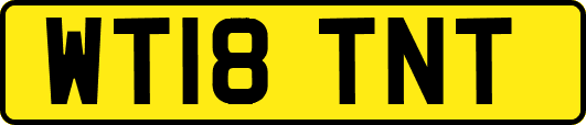 WT18TNT