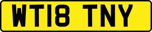 WT18TNY
