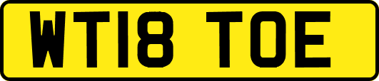 WT18TOE